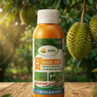 Asoil Rep 240ml